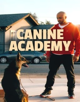 Canine Academy