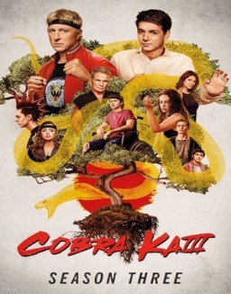 Cobra Kai